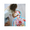 Picture of SASSI SCIENCE THE HUMAN BODY